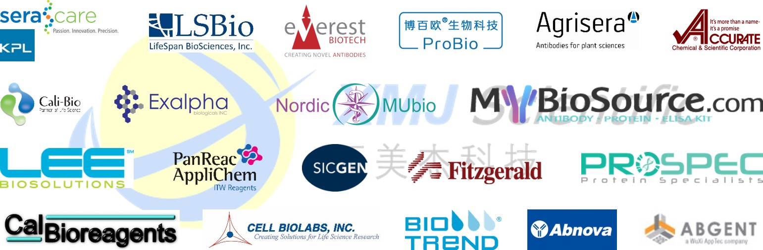 熱烈慶祝西美杰代理Everest Biotech\Nordic-MUbio\Exalpha三大免疫學(xué)品牌